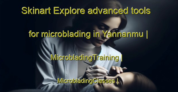 Skinart Explore advanced tools for microblading in Yannanmu | MicrobladingTraining | MicrobladingClasses | SkinartTraining-China